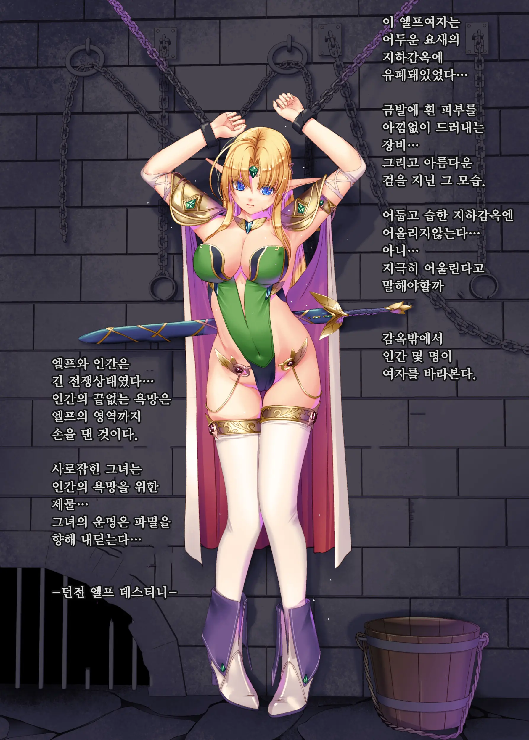 Dungeon Elf Destiny | 던전엘프 데스티니